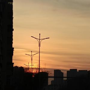 给情侣主夫妻当狗视频
